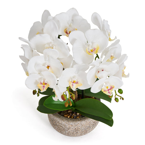 Artificial Orchid White H42 cm - Lifelike with Concrete Pot Ø25 cm