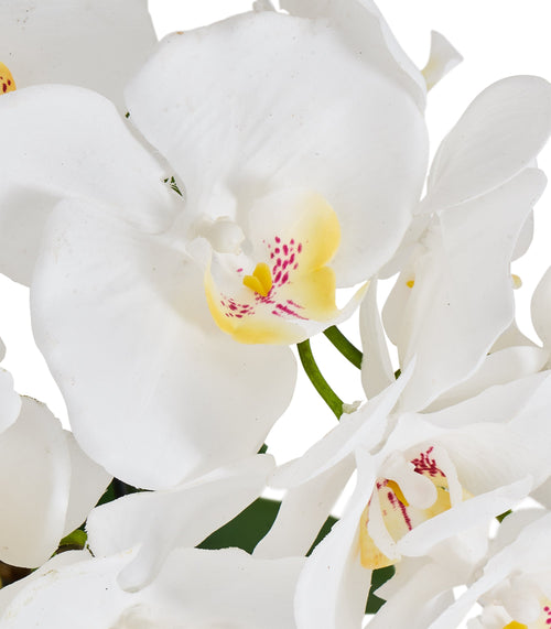 Artificial Orchid White H42 cm - Lifelike with Concrete Pot Ø25 cm