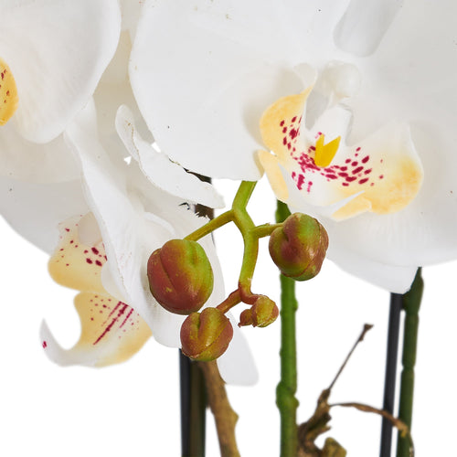 Artificial Orchid White H42 cm - Lifelike with Concrete Pot Ø25 cm