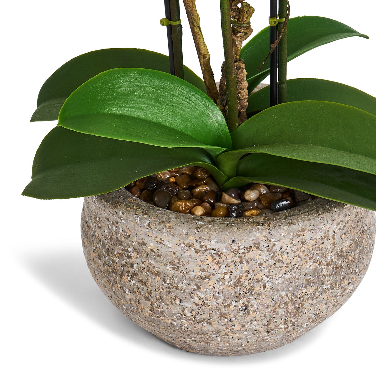 Artificial Orchid White H42 cm - Lifelike with Concrete Pot Ø25 cm