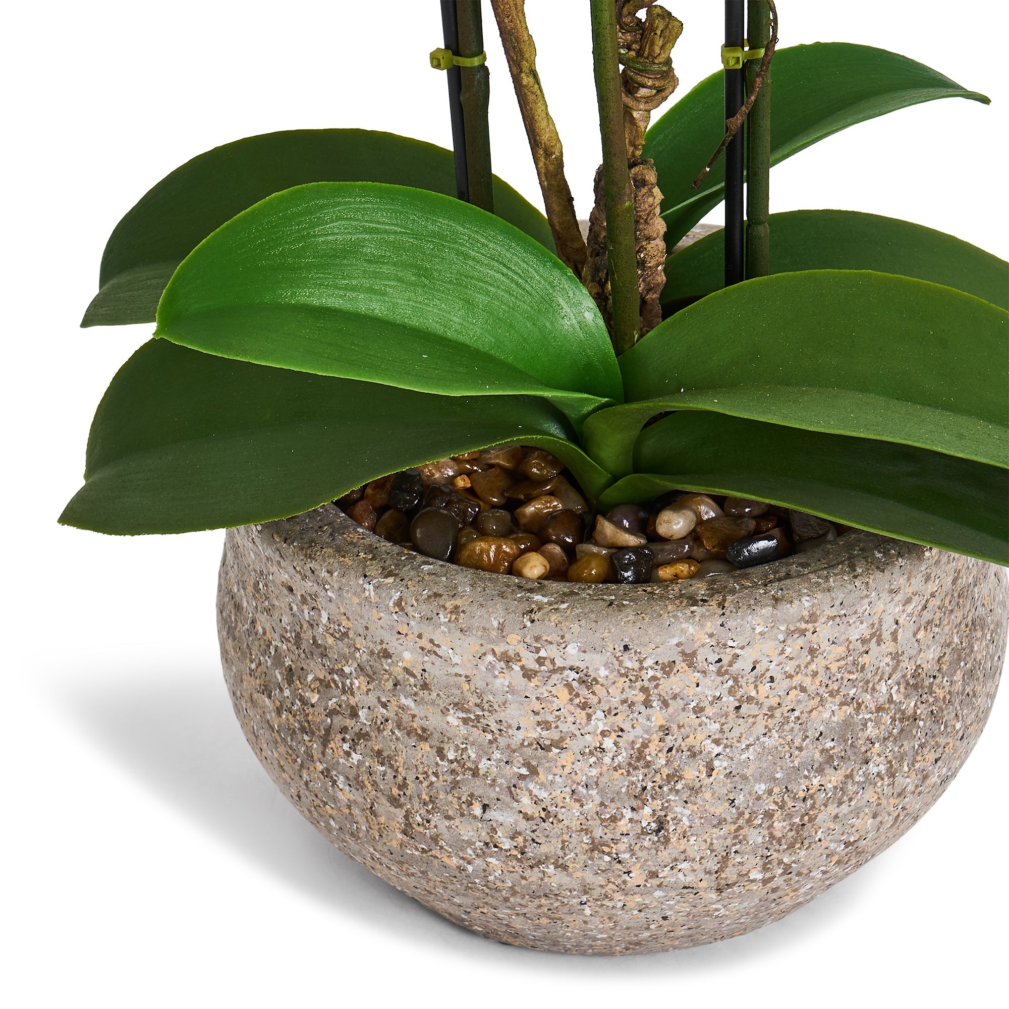 Kunstig Orkidé Hvid H42 cm - Naturtro med Betonpotte Ø25 cm