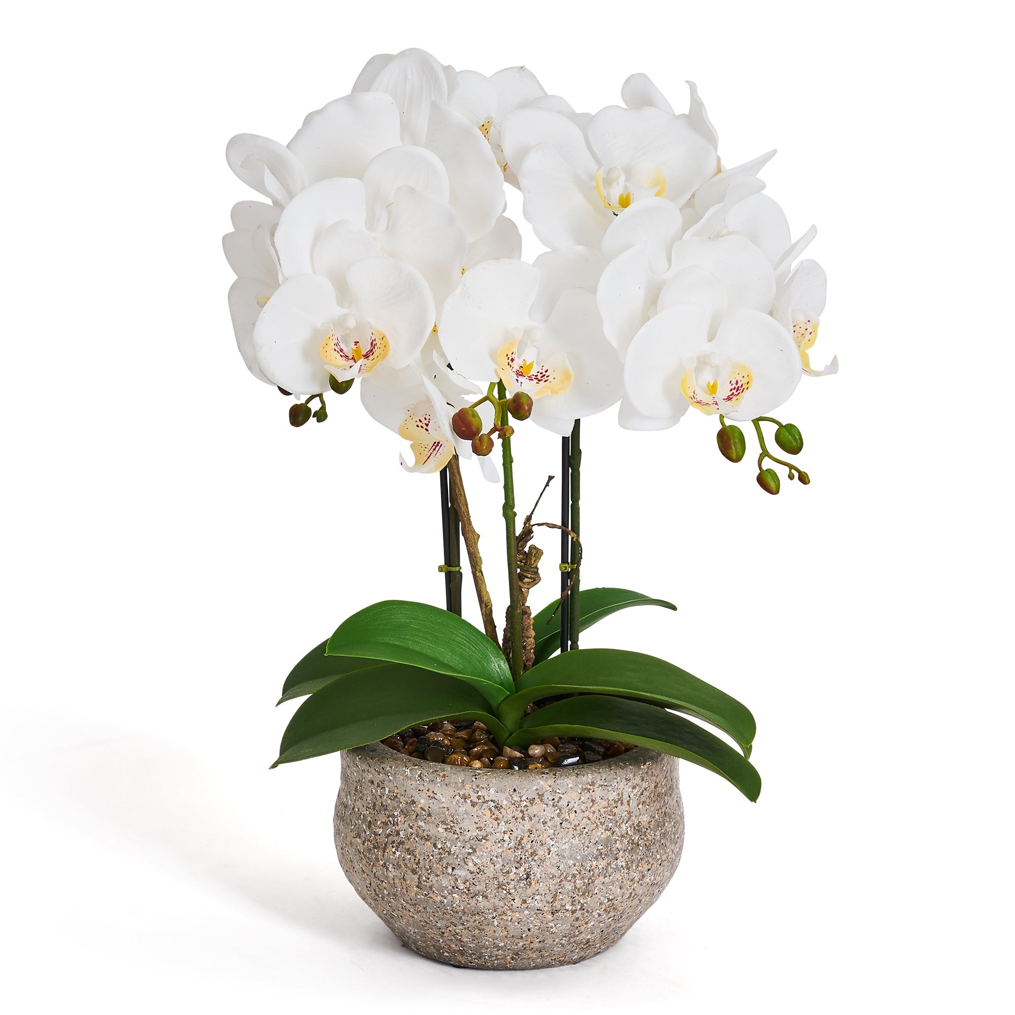 Kunstig Orkidé Hvid H42 cm - Naturtro med Betonpotte Ø25 cm