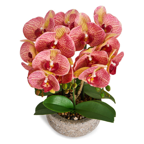 Artificial Orchid Yellow/Red H42 cm - Lifelike with Concrete Pot Ø25 cm