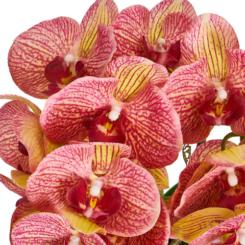 Artificial Orchid Yellow/Red H42 cm - Lifelike with Concrete Pot Ø25 cm