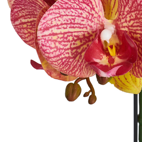 Artificial Orchid Yellow/Red H42 cm - Lifelike with Concrete Pot Ø25 cm