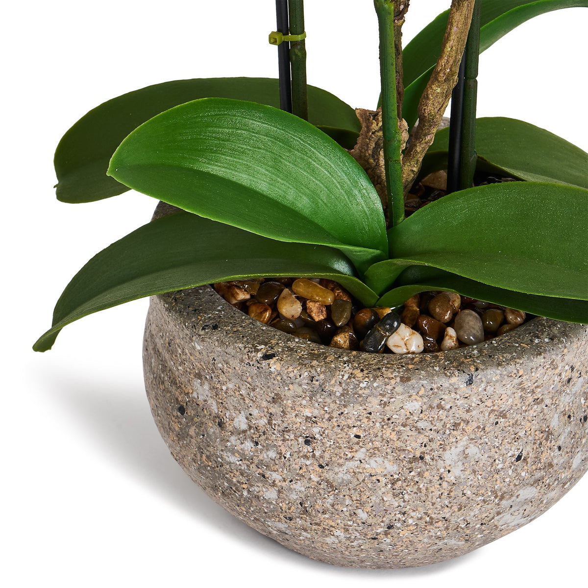 Artificial Orchid Yellow/Red H42 cm - Lifelike with Concrete Pot Ø25 cm