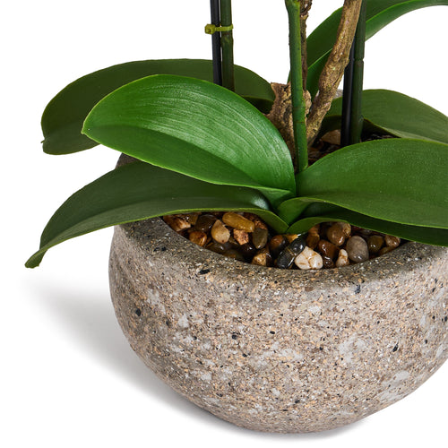 Artificial Orchid Yellow/Red H42 cm - Lifelike with Concrete Pot Ø25 cm