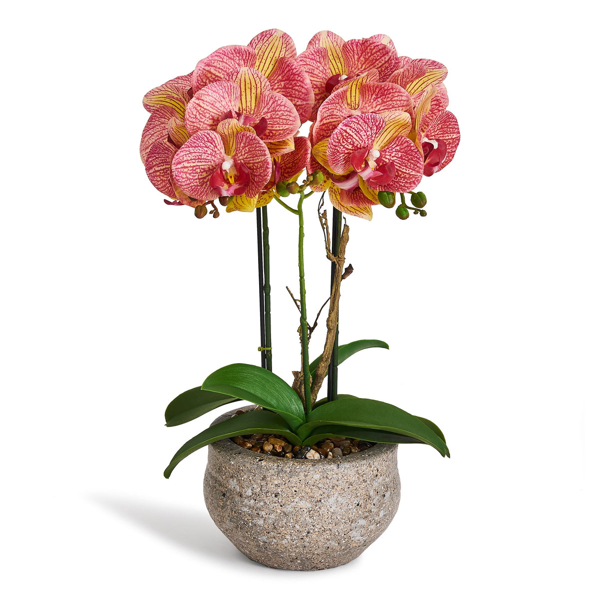 Artificial Orchid Yellow/Red H42 cm - Lifelike with Concrete Pot Ø25 cm