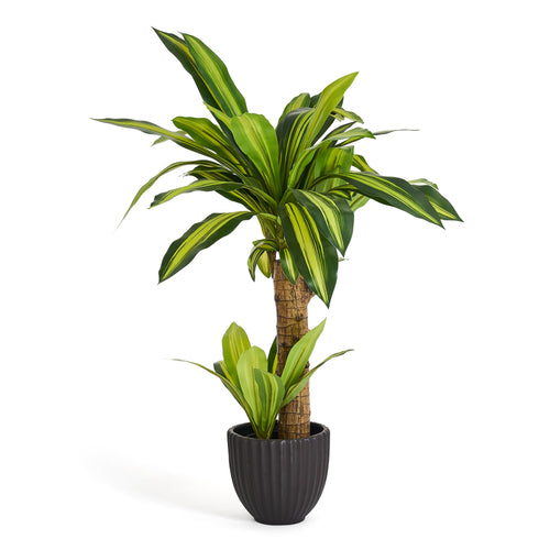 Happy Plant - Artificial, H: 75 cm
