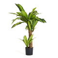 Happy plante - Kunstig, H: 75 cm