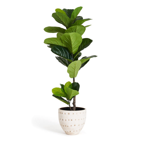 Fiddle Leaf Tree - Artificial, H:90 cm