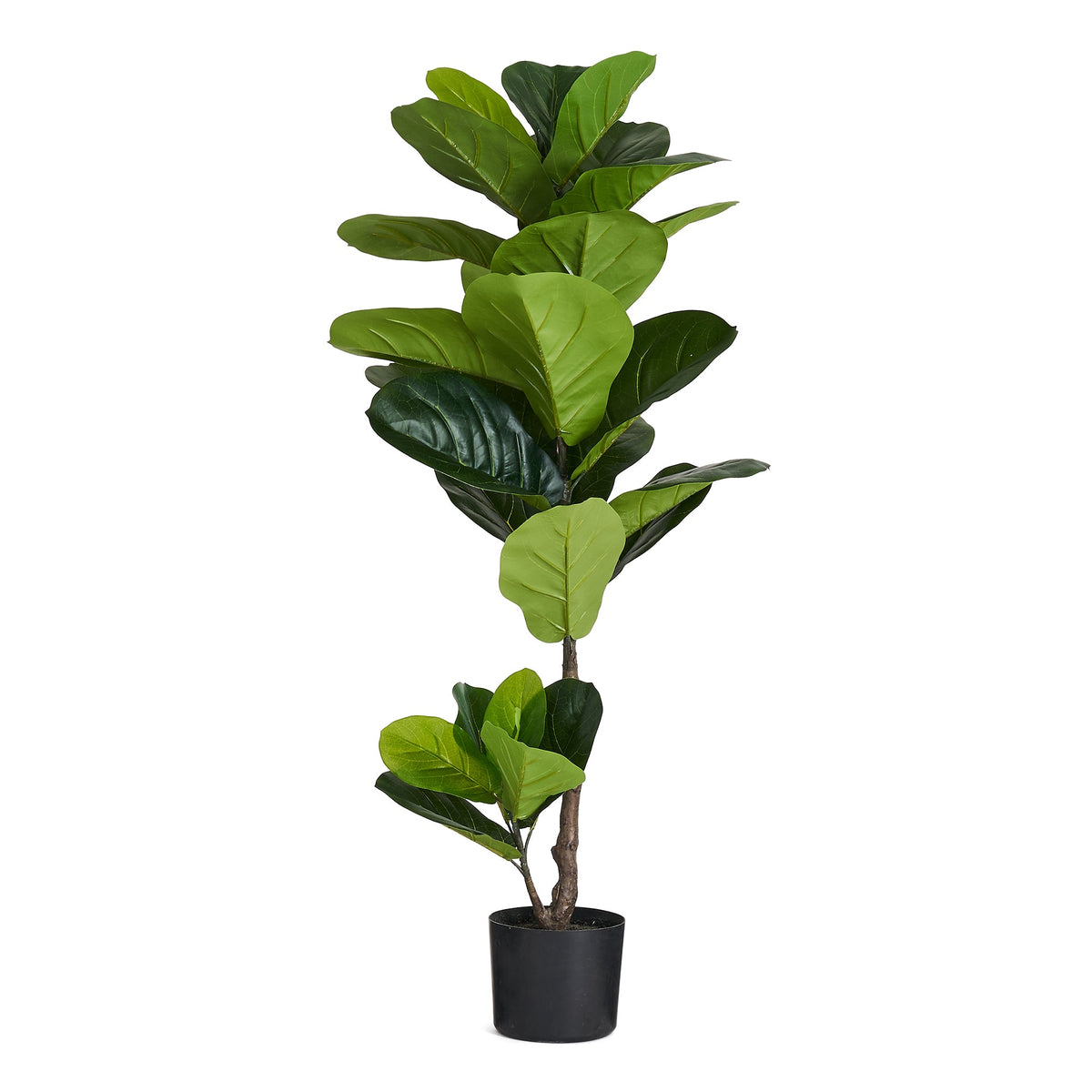 Fiddle Leaf Tree - Artificial, H:90 cm