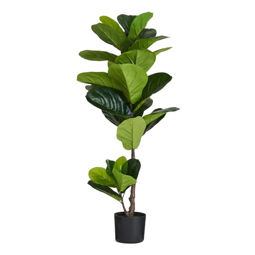 Fiddle Leaf Tree - Artificial, H:90 cm