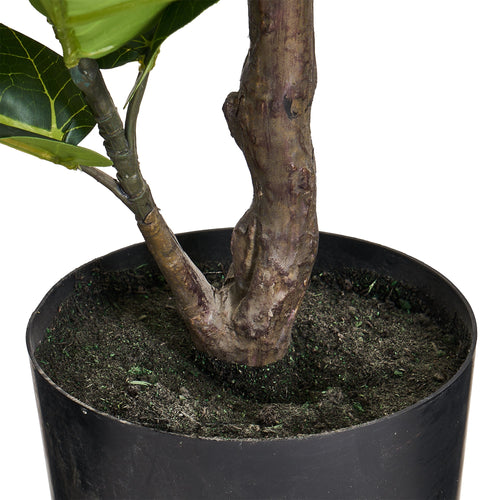 Fiddle Leaf Tree - Artificial, H:90 cm