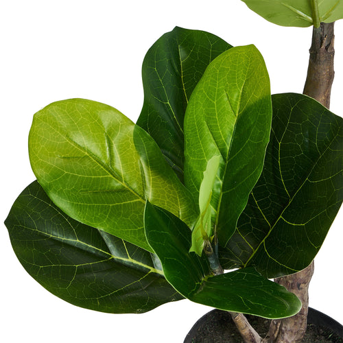 Fiddle Leaf Tree - Artificial, H:90 cm