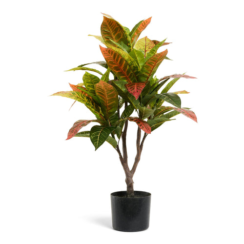 Croton Plant - Artificial, H:75 cm