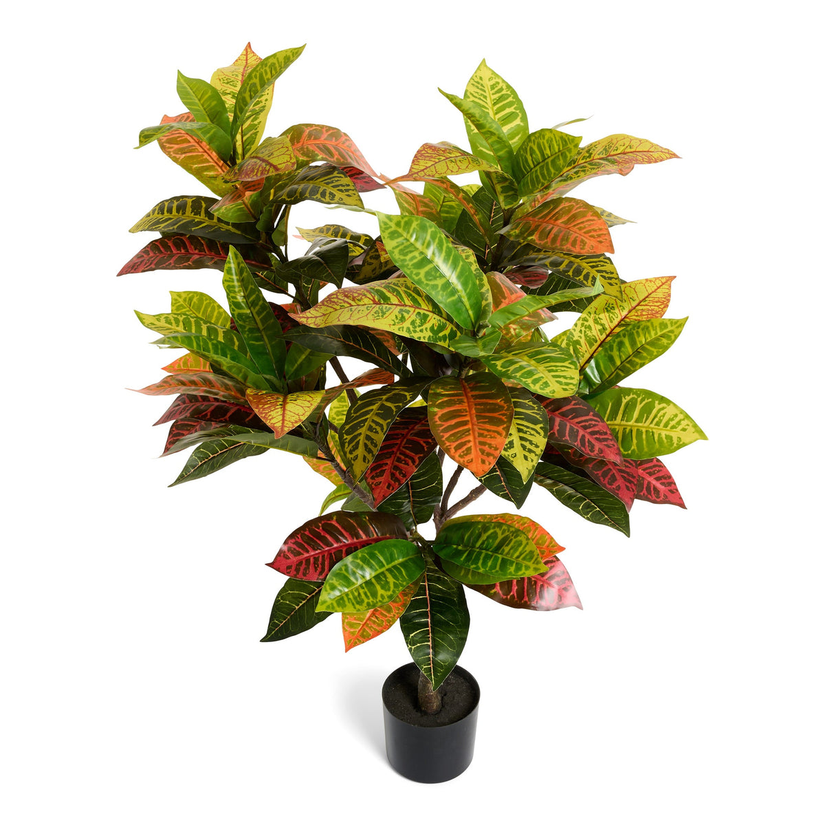 Croton Plant - Artificial, H:75 cm