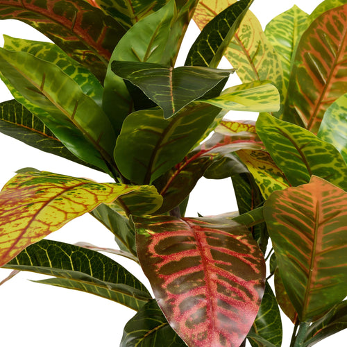 Croton Plant - Artificial, H:75 cm