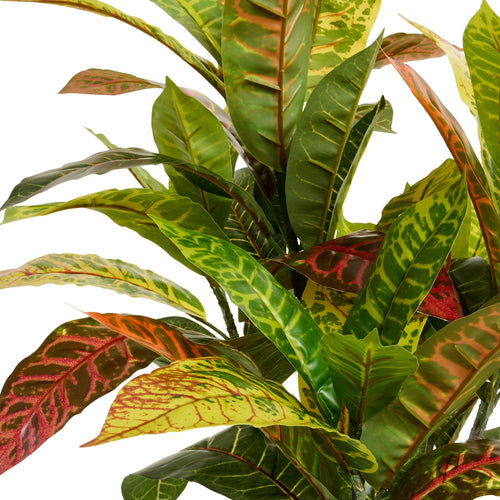 Croton Plant - Artificial, H:75 cm