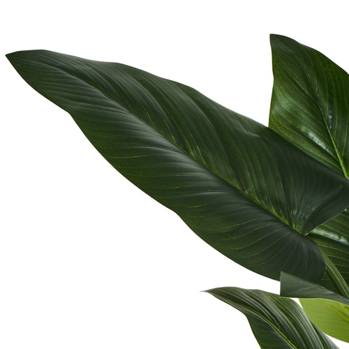 Philodendron Plant - Artificial, H:125 cm