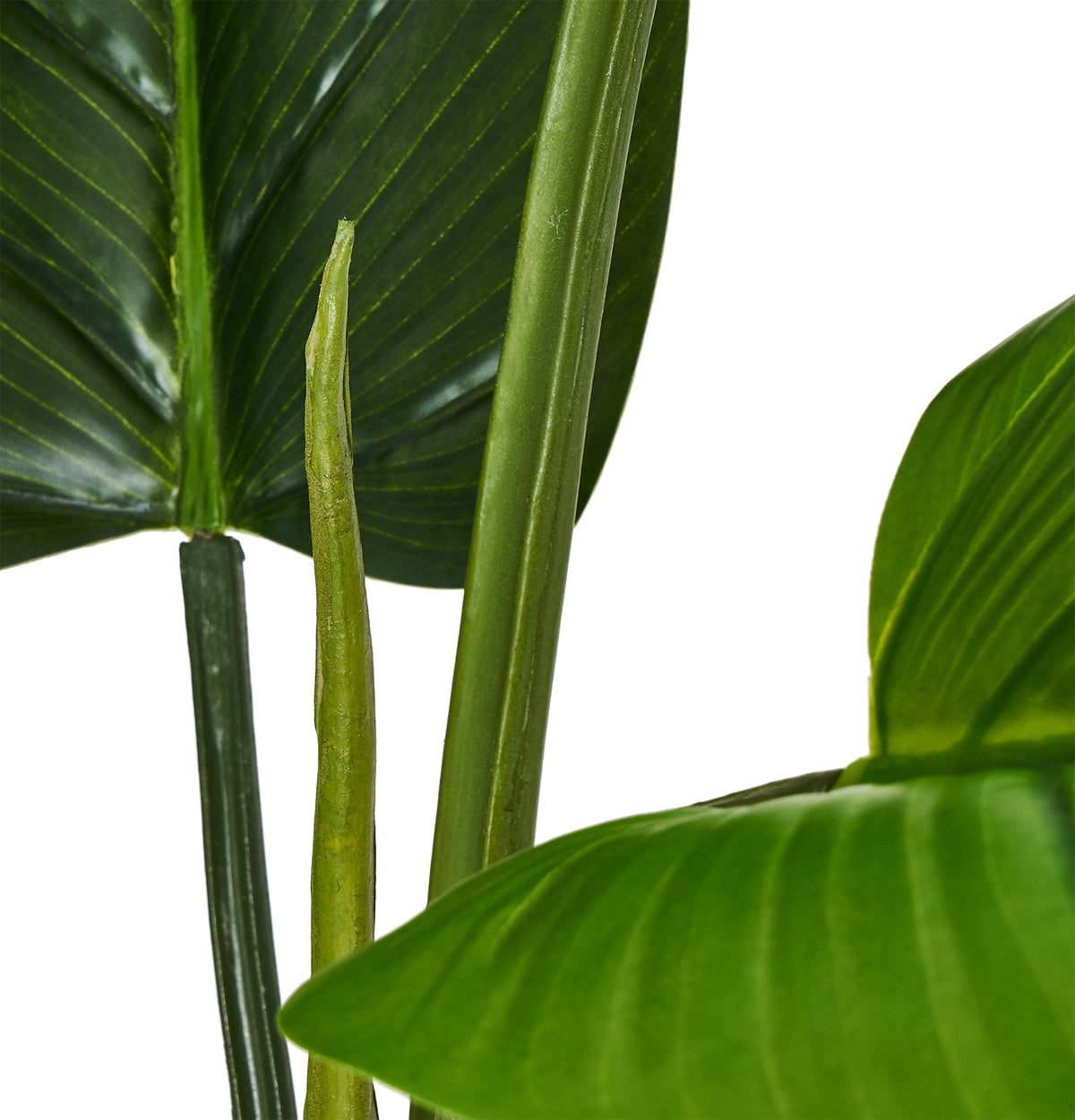 Philodendron Plant - Artificial, H:125 cm