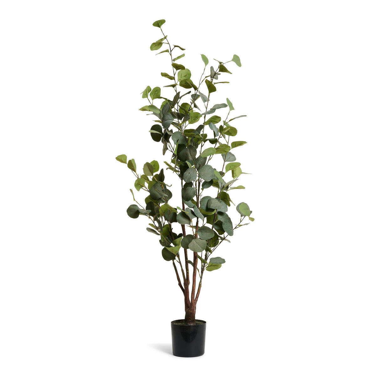 Eucalyptus Tree - Artificial, H:120 cm