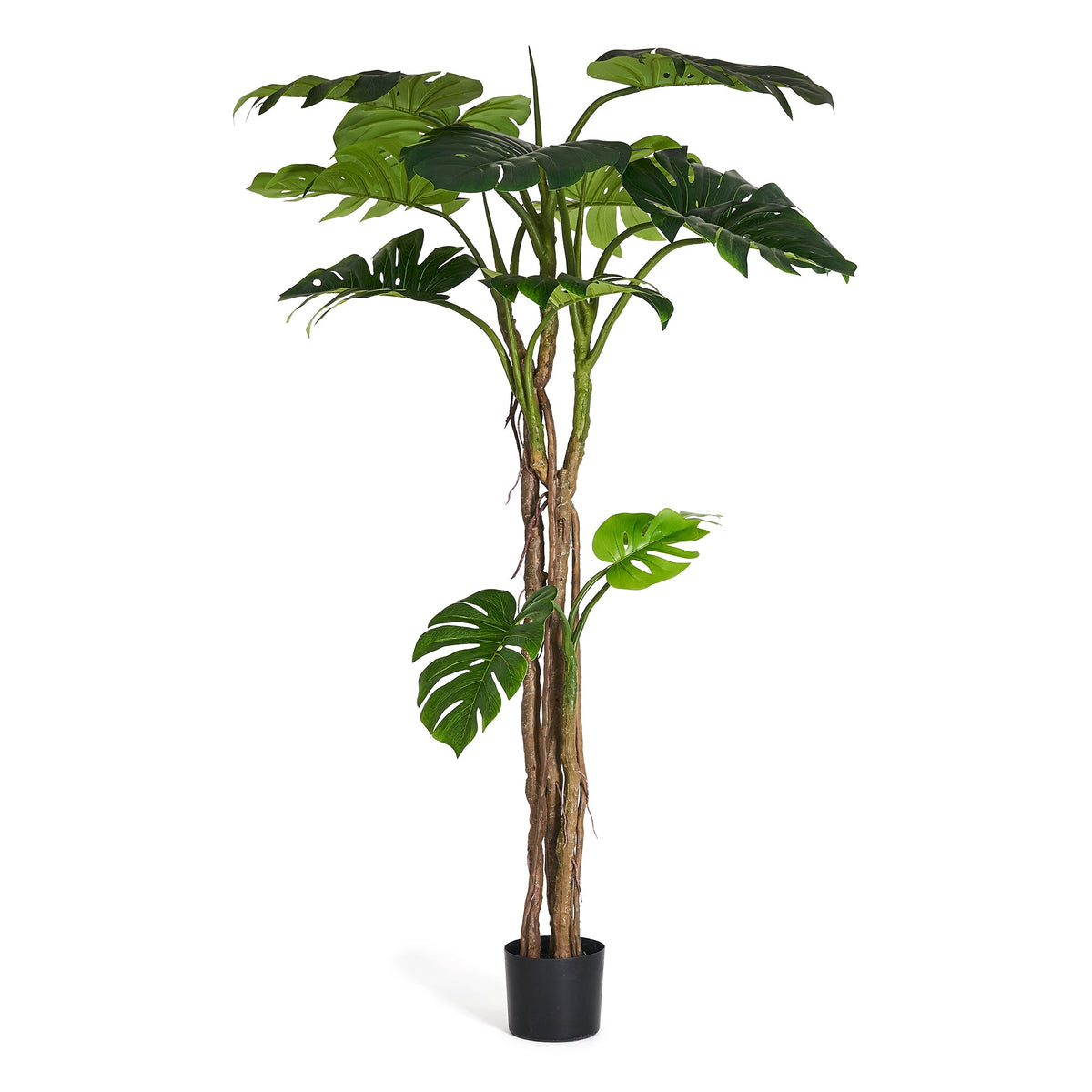 Monstera - Artificial Plant, H:180 cm