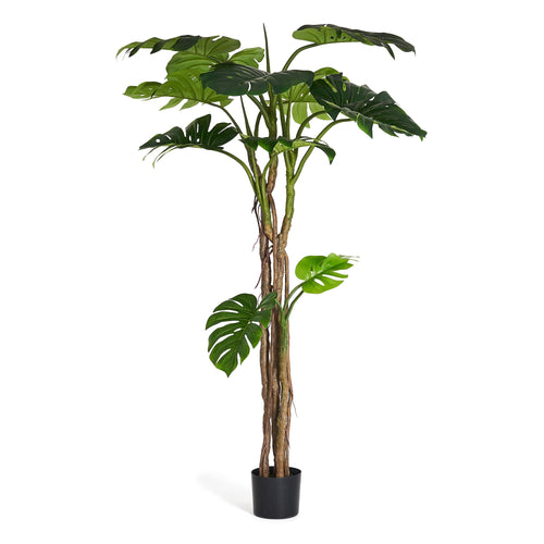 Monstera - Artificial Plant, H:180 cm