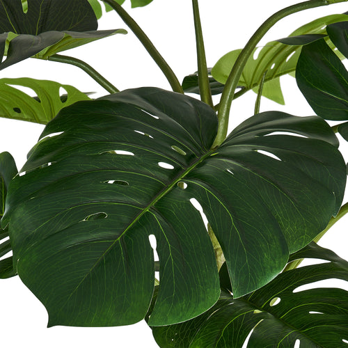 Monstera - Artificial Plant, H:180 cm