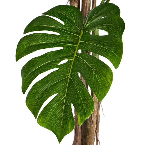Monstera - Artificial Plant, H:180 cm