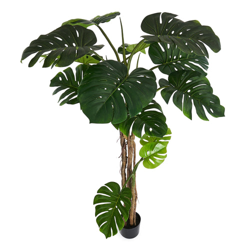 Monstera - Artificial Plant, H:180 cm