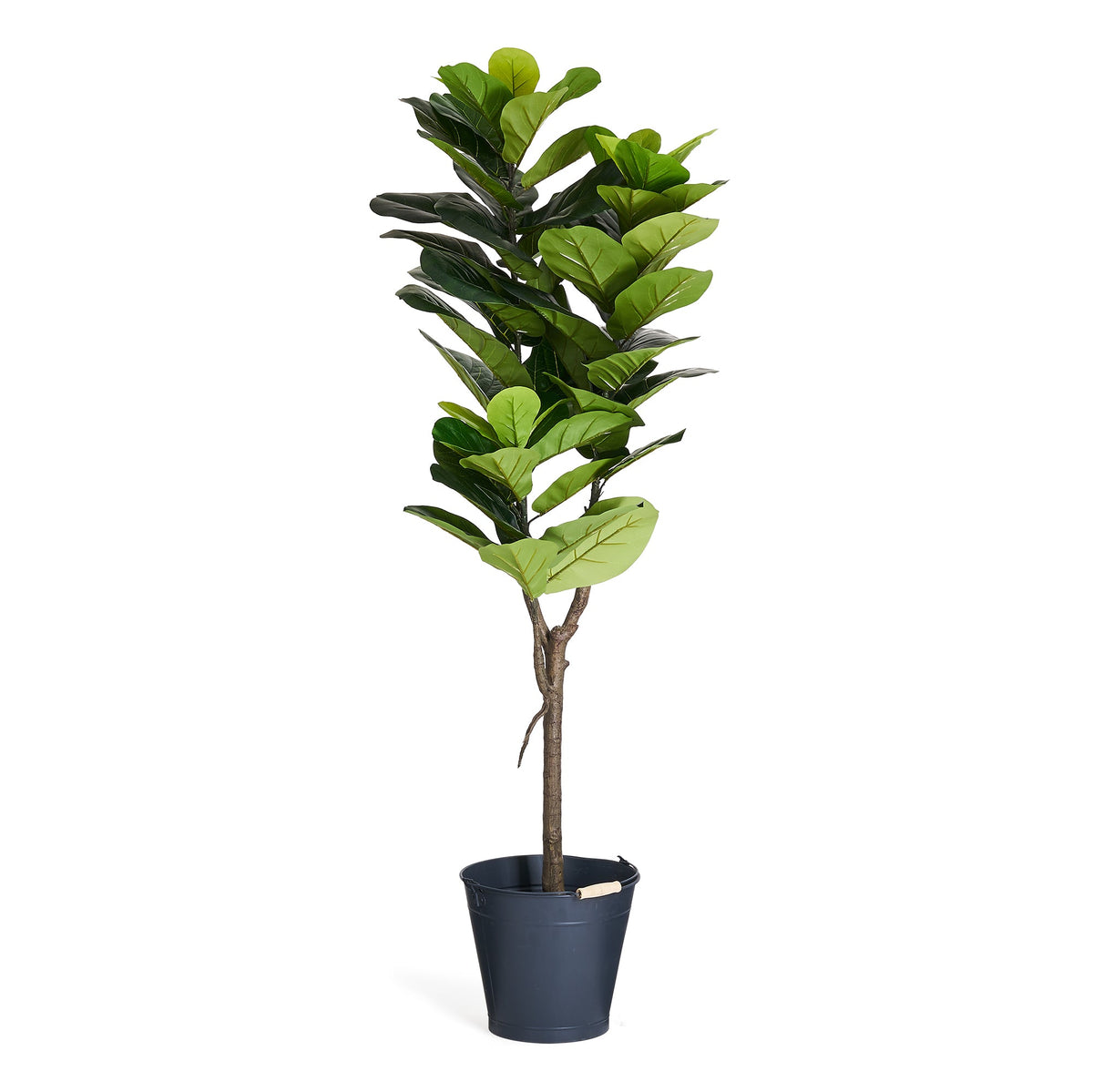 Fiddle Leaf Tree - Artificial, H:152 cm