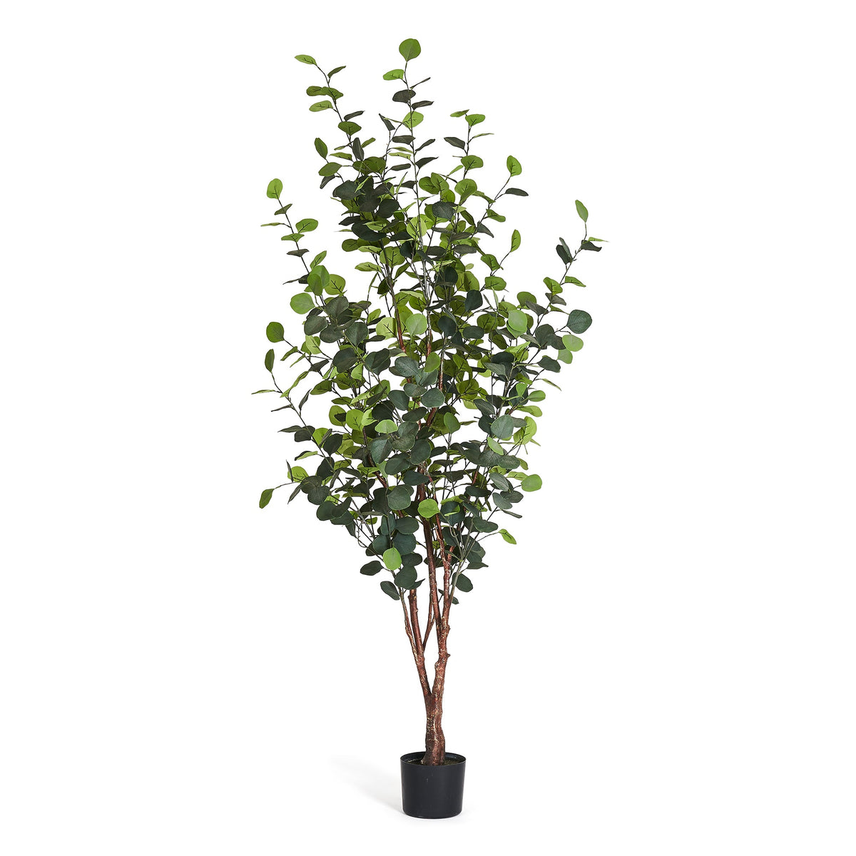 Eucalyptus Tree - Artificial, H:180 cm