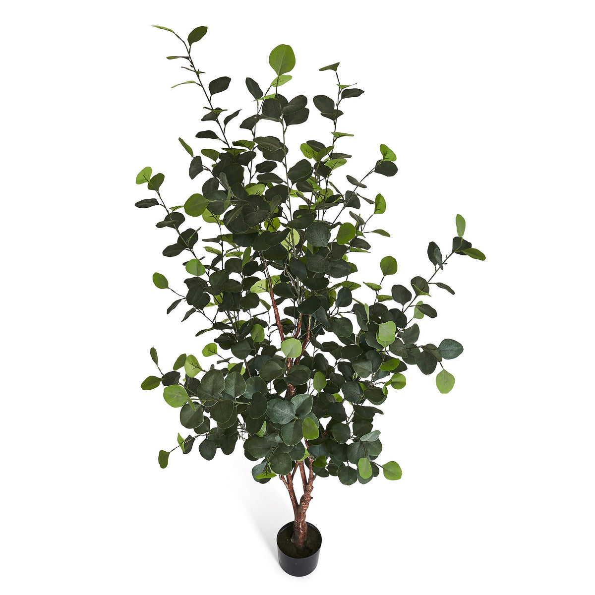Eucalyptus Tree - Artificial, H:180 cm