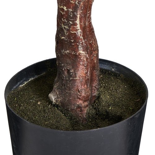 Eucalyptus Tree - Artificial, H:180 cm