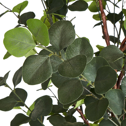Eucalyptus Tree - Artificial, H:180 cm