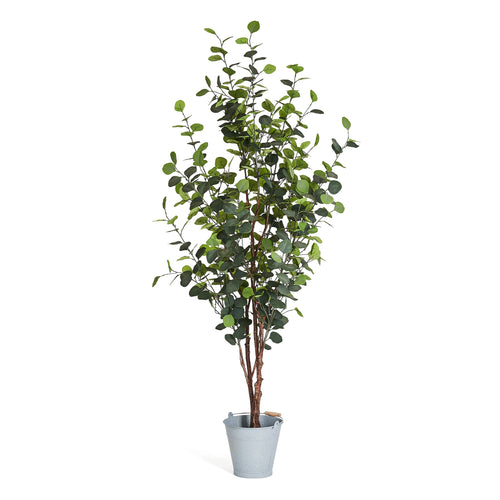 Eucalyptus Tree - Artificial, H:180 cm