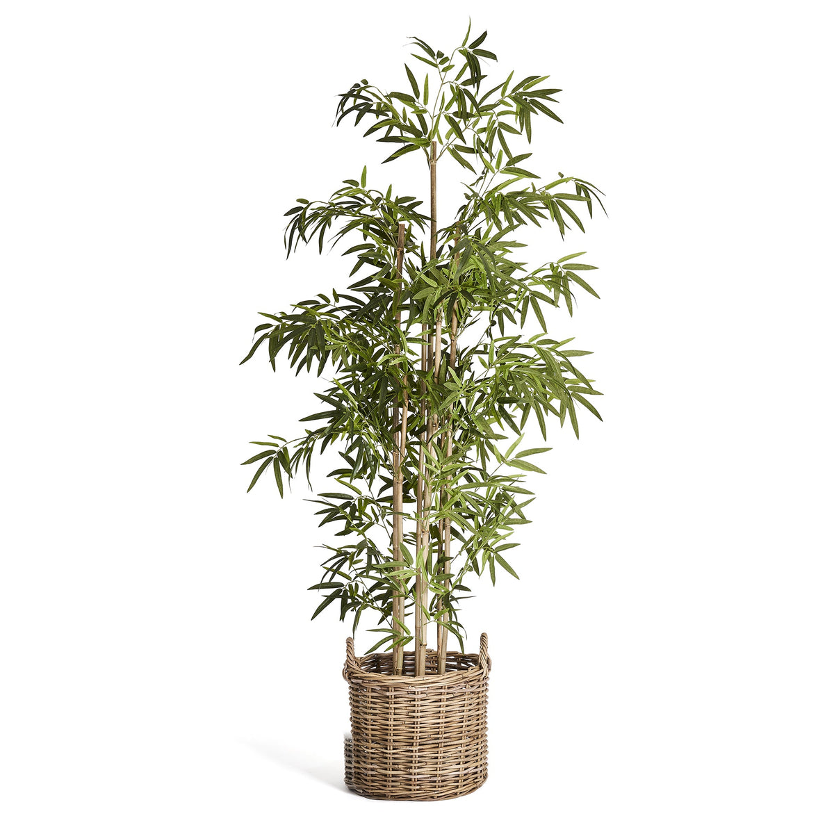 Bamboo Plant - Artificial, H:190 cm