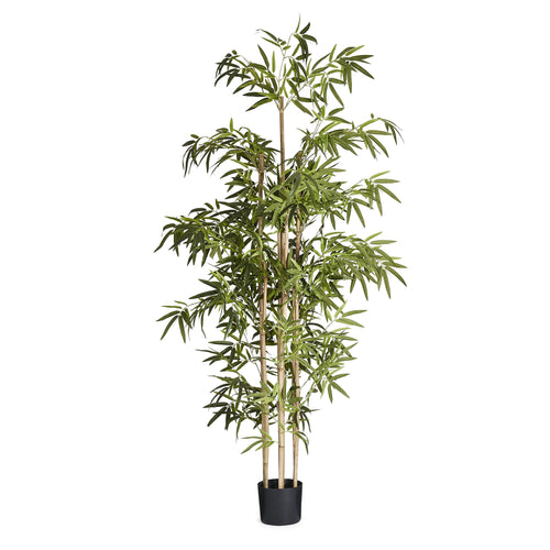 Bamboo Plant - Artificial, H:190 cm