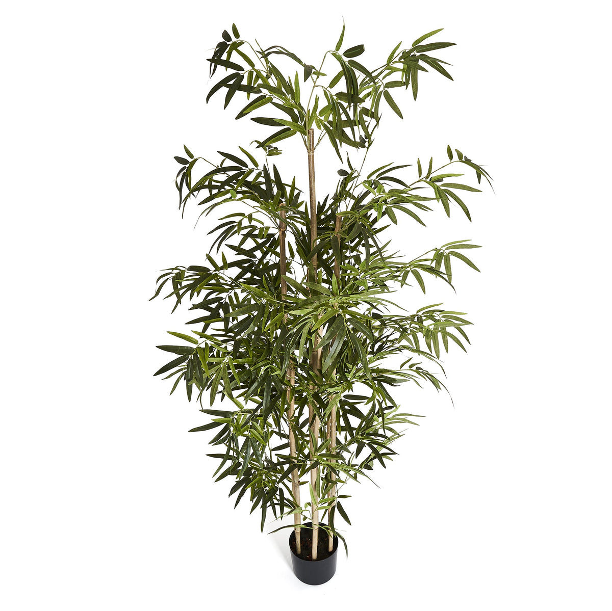Bamboo Plant - Artificial, H:190 cm