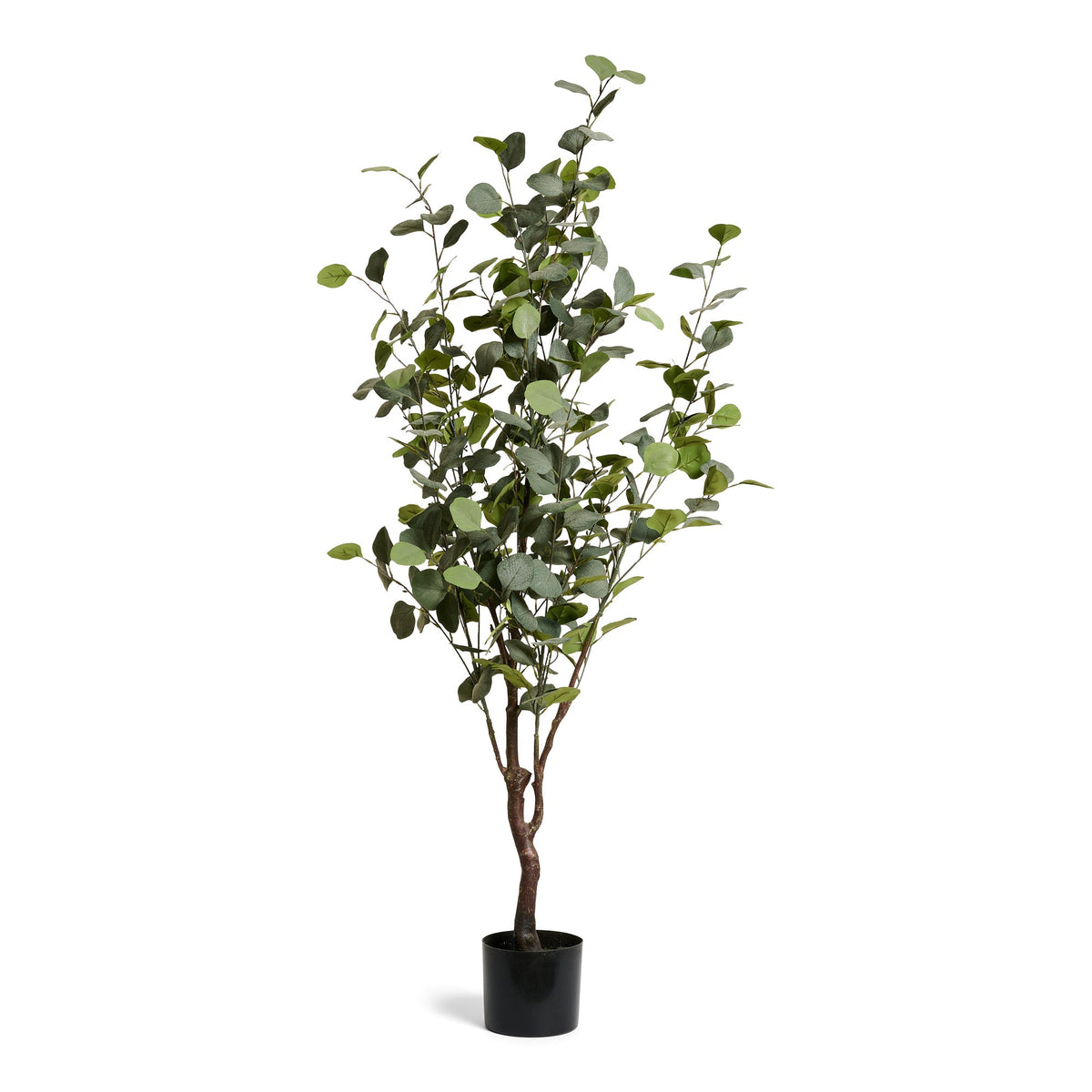 Eucalyptus Tree - Artificial, H:150 cm
