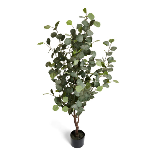 Eucalyptus Tree - Artificial, H:150 cm