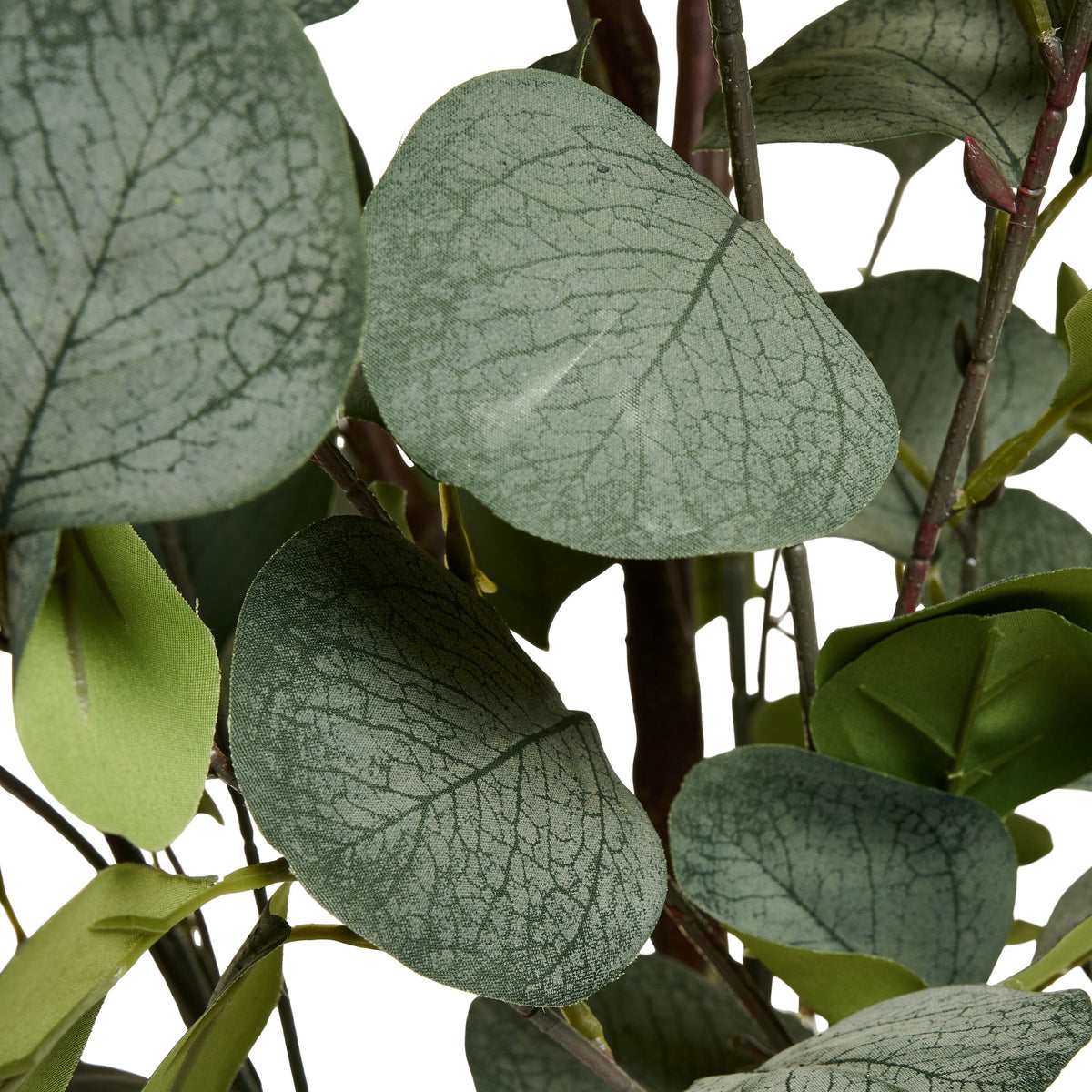 Eucalyptus Tree - Artificial, H:150 cm