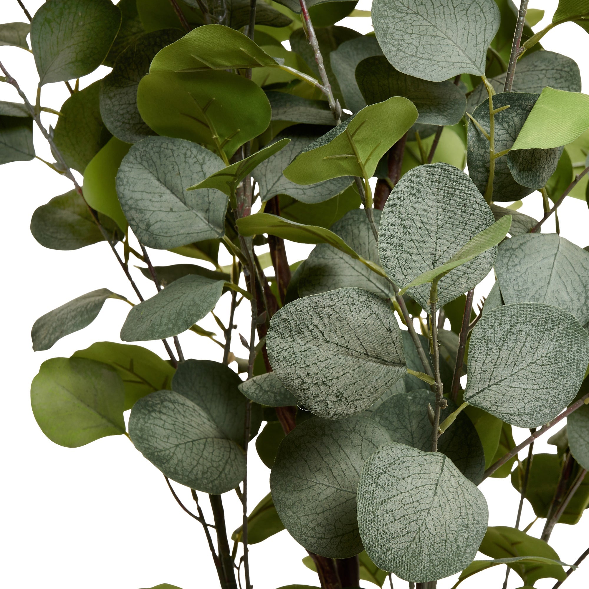 Eucalyptustræ - Kunstig, H:150 cm