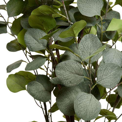 Eucalyptus Tree - Artificial, H:150 cm