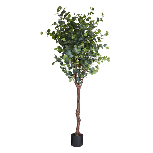 Eucalyptus Tree - Artificial, H:220 cm