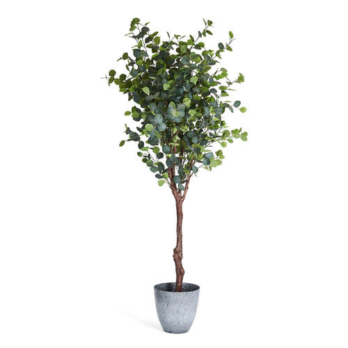 Eucalyptus Tree - Artificial, H:220 cm