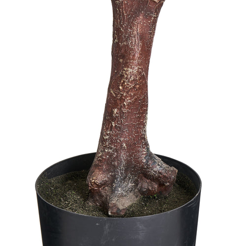 Eucalyptus Tree - Artificial, H:220 cm