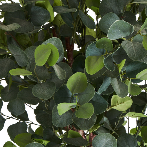 Eucalyptus Tree - Artificial, H:220 cm