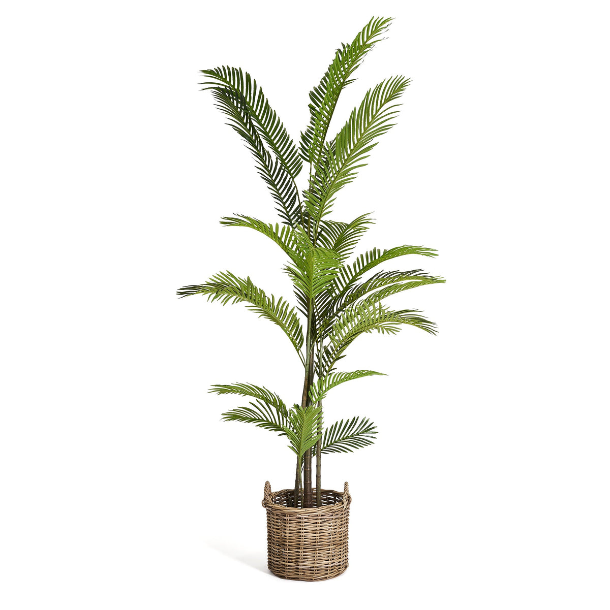 Palm Tree - Artificial, H:200 cm